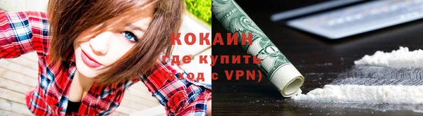 спиды Вяземский