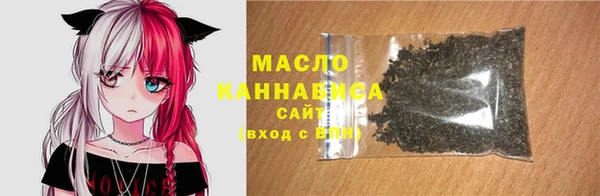 спиды Вяземский