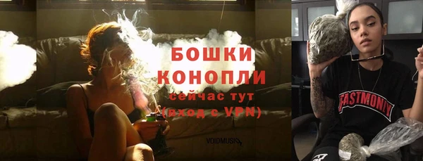 спиды Вяземский