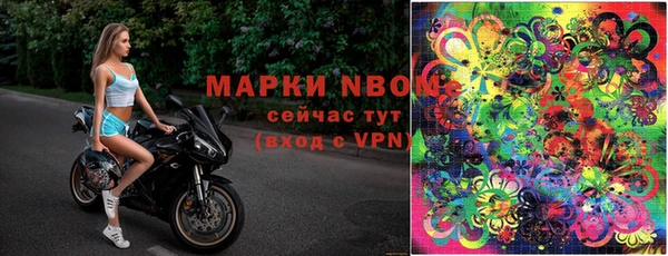 ECSTASY Вязники