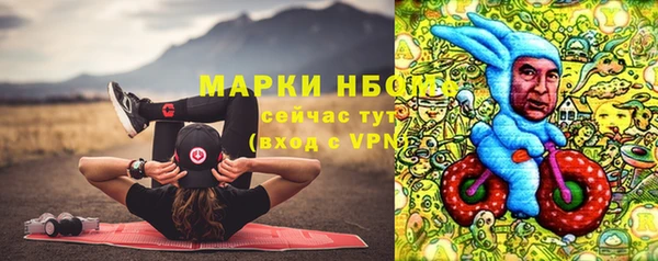 спиды Вяземский