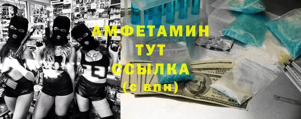 спиды Вяземский