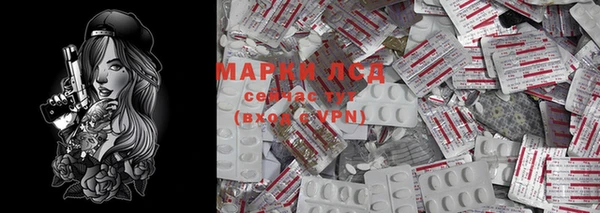 спиды Вяземский