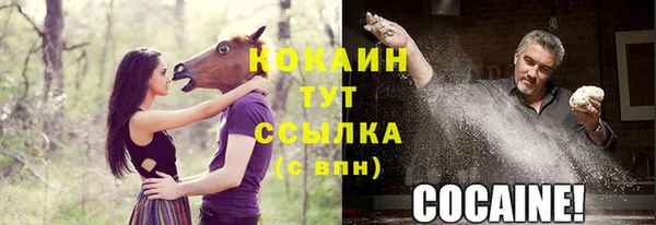 спиды Вяземский