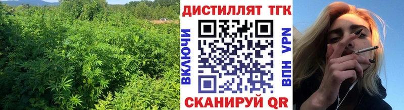 дарнет шоп  Щучье  Дистиллят ТГК вейп 